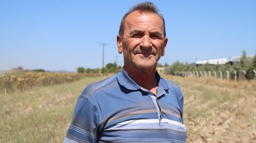 Kırklareli'nde Ayçiçeği Hasadı Başladı