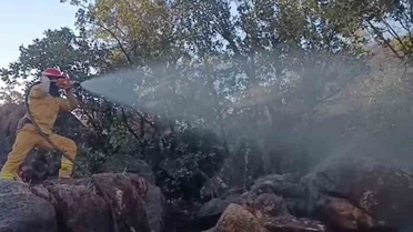 Siirt'te orman yangını kontrol altına alındı