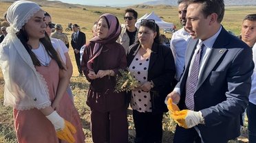 Yüksekova'da Kadınların Nohut Hasadı