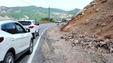 Tunceli'de Dağ Keçileri Yolda Görüntülendi
