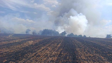 Kütahya'da Orman Yangını Kontrol Altına Alındı