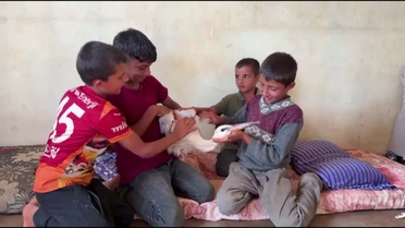Yorgun Leylek, Çocukların Misafiri Oldu