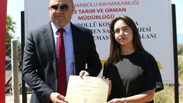 Safranbolu'da Safran Ekimi Başladı