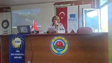 Fındıkta Ekonomik Sorunlar ve Kokarca Tehdidi