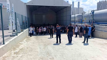 Afyonkarahisar'da domates serasında 33 kişi zehirlendi