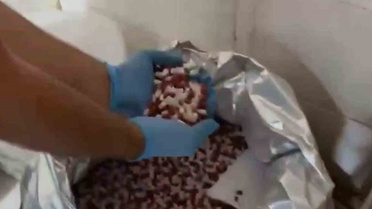 Didim'de Uyuşturucu İmalathanesi Operasyonu