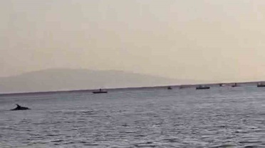 Bursa'da Yunus Hareketliliği
