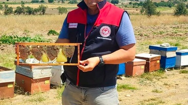 Kalp Şeklindeki Bal Peteği İlgi Çekti