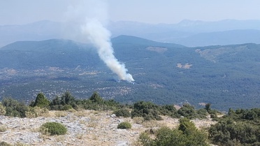 Muğla'da orman yangını: Ekipler seferber oldu