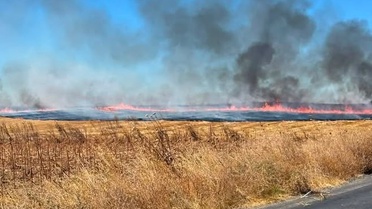 Hayrabolu'da anız yangını: 25 dönüm zarar