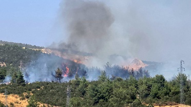 Bilecik'te Orman Yangınına Müdahale