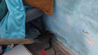 Hatay'da Yılan Yakalama Operasyonu