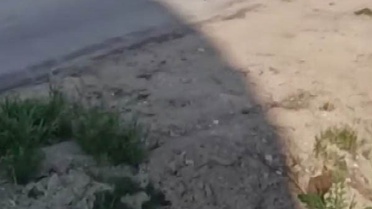 Kadını öldüresiye dövdü, serbest kaldı