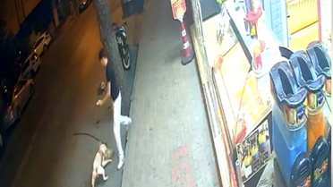 Bambi'nin Trajedisi: Doberman Kediyi Öldürdü