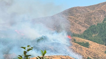 Bingöl'de Mera Yangını Alev Alevdi