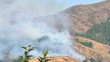 Bingöl'de Yangın Söndürme Çalışmaları Devam Ediyor