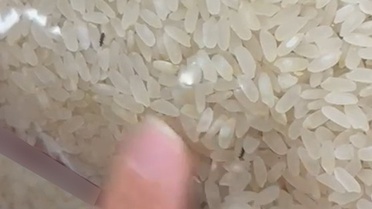 Elazığ'da Pirinçte Böcek Skandalı