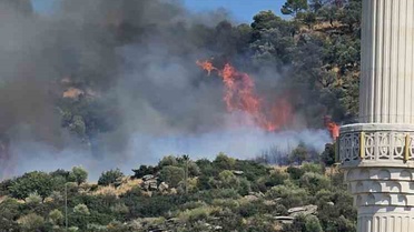 Gebze'de Orman Yangını