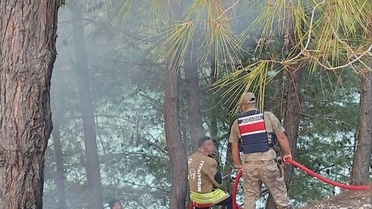 Hatay'ın Yayladağı'nda Orman Yangını Söndürüldü