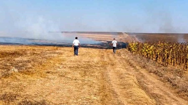 Muratlı'da anız yangını söndürüldü