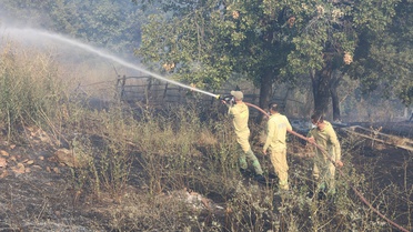 Taşova'da Yangın: Ahırlar ve Arazi Zarar Gördü