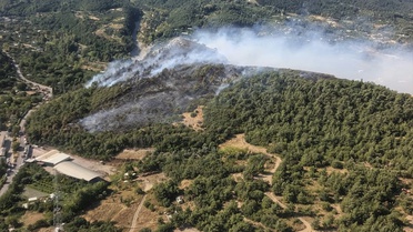 Bursa'da Orman Yangınları