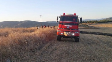 Sinop’ta anız yangını korkuttu