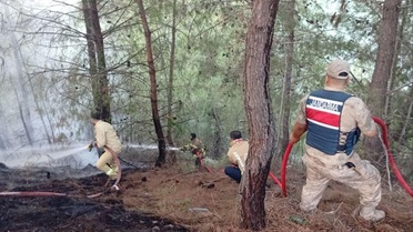 Yayladağı'nda Yangın Kontrol Altına Alındı