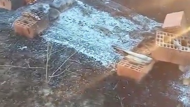 Eskişehir'de Arılıkta Yangın: Yüzlerce Arı Telef Oldu