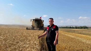 Bayburt'ta Hububat Hasadı Başladı