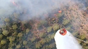 Bursa’da yangın paniği: Alevler ormana sıçradı, helikopterler hemen havalandı