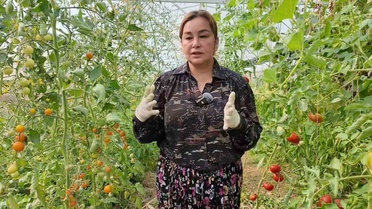 Yasemin Güler Orhan'ın Tarım Hikayesi