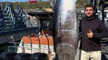 Sığacık'ta Dev Orkinos Rekoru