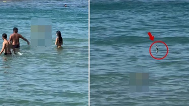 Plajda gergin anlar! Görenler denizden hemen çıktı