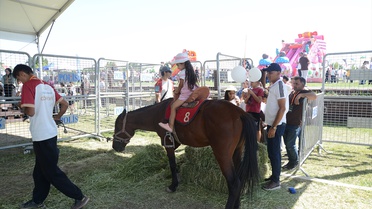 Malazgirt Zaferi 955. Yıl Etkinlikleri