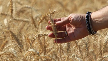 TİGEM'den 2026 İçin Yüzde 78 Kar Artışı Öngörüsü
