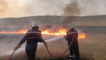 Cezayir’de son 24 saatte 6 bölgede 72 orman yangını