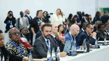 COP17'de Bakan Kurum'dan Çölleşme Çağrısı