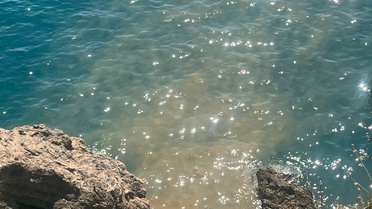 Antalya'da Atık Su Soruşturması