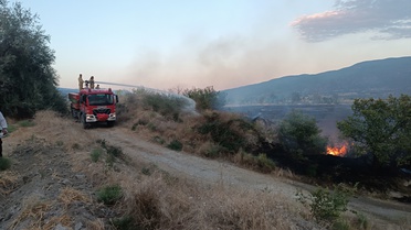 Tosya'da Anız Yangını: 400 Dekar Zarar