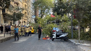 Şişli'de Devrilen Ağaç İki Araca Zarar Verdi