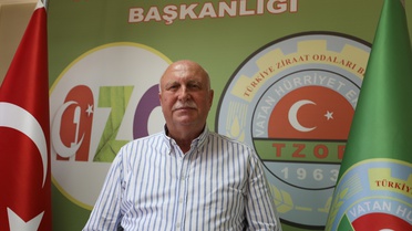 Fındık Rekoltesi Bu Yıl Artıyor