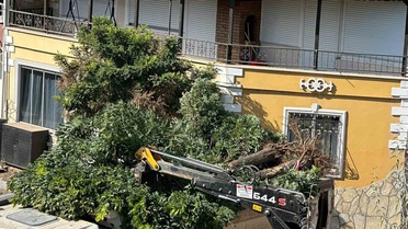 Sındırgı’da yol yapım çalışmaları sırasında ağaçlar söküldü