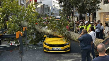 Şişli’de araçların üzerine devrilen çınar ağacı kaldırıldı