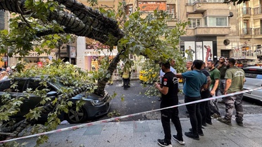 Şişli'de Ağaç Devrildi, İki Araç Hasar Gördü