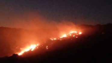Afyonkarahisar'da Orman Yangını