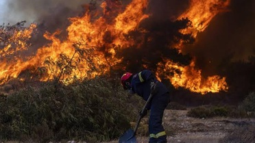 Cezayir'de orman yangınları: 12 kişi hayatını kaybetti