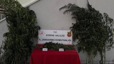 Edirne'de Hint Keneviri Sulayan Şahıs Yakalandı