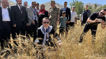 Büyükçiftlik'te Buğday Hasat Şenliği
