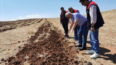 Kırıkkale'de Tuz Çalısı Dikimi Başladı